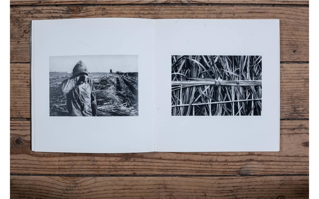 Agriculture je t’aime ! [Agriculture I Love You!]