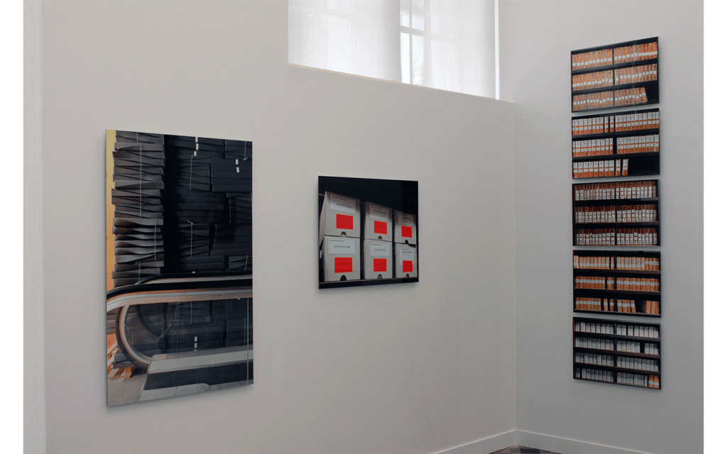 Vues partielles de l'exposition « Rotondifolia »