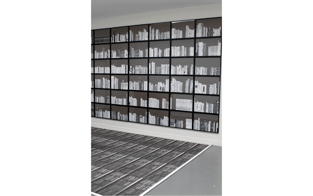 Vues partielles de l'exposition « Rotondifolia »