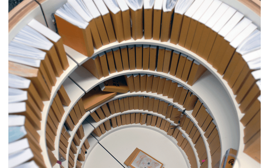 Vues partielles de l'exposition « Rotondifolia »