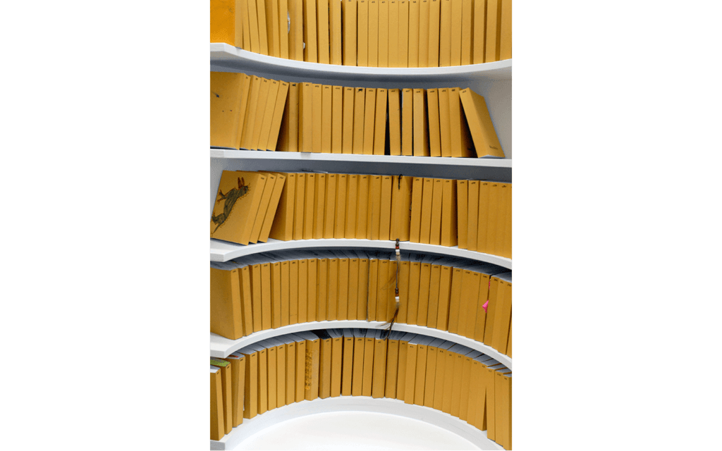 Vues partielles de l'exposition « Rotondifolia »