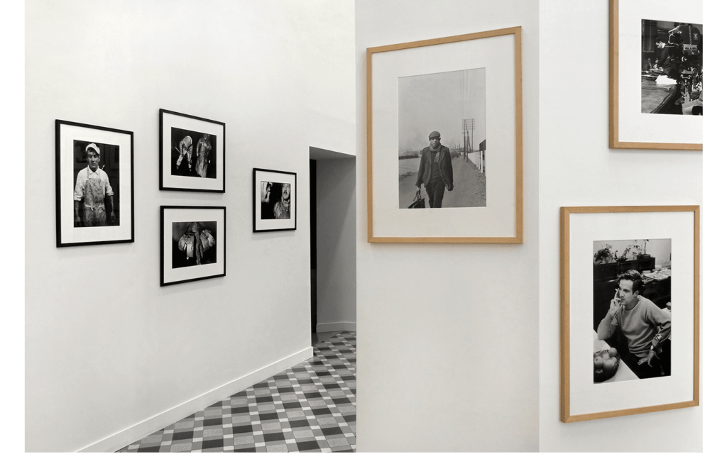 Vues partielles de l'exposition « Faites comme chez vous » 