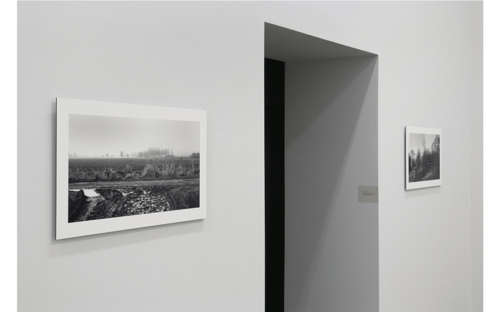 Vues partielles de l’exposition « Paris-Roubaix » 