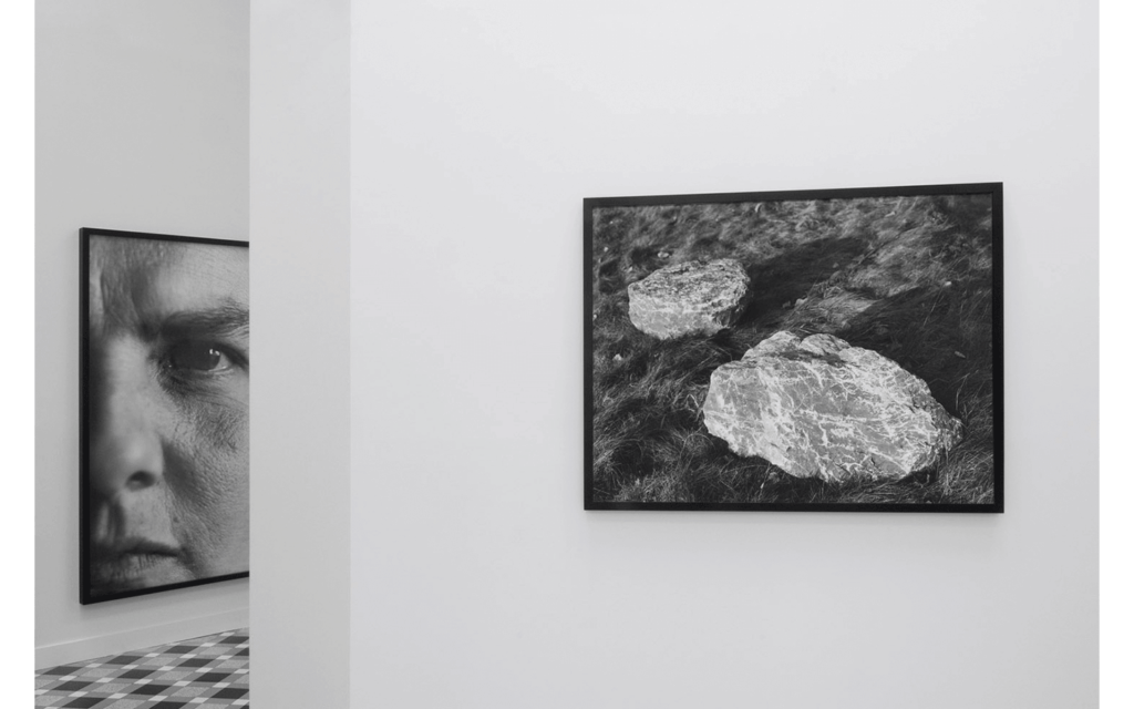 Vues partielles de l'exposition « Humaine »