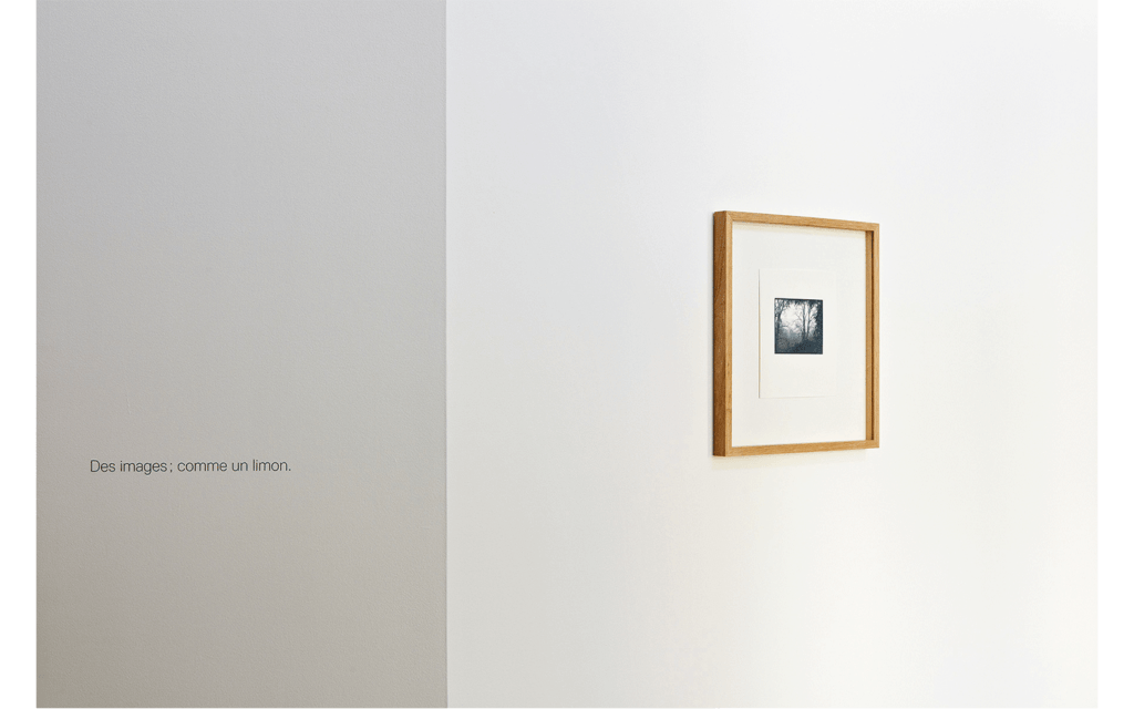 Vue partielle de l'exposition « Limons »