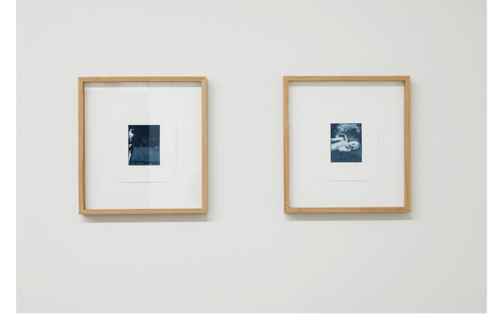 Vue partielle de l'exposition « Limons »