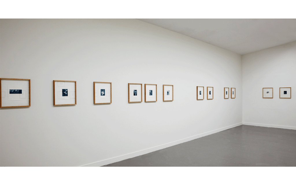 Vue partielle de l'exposition « Limons »