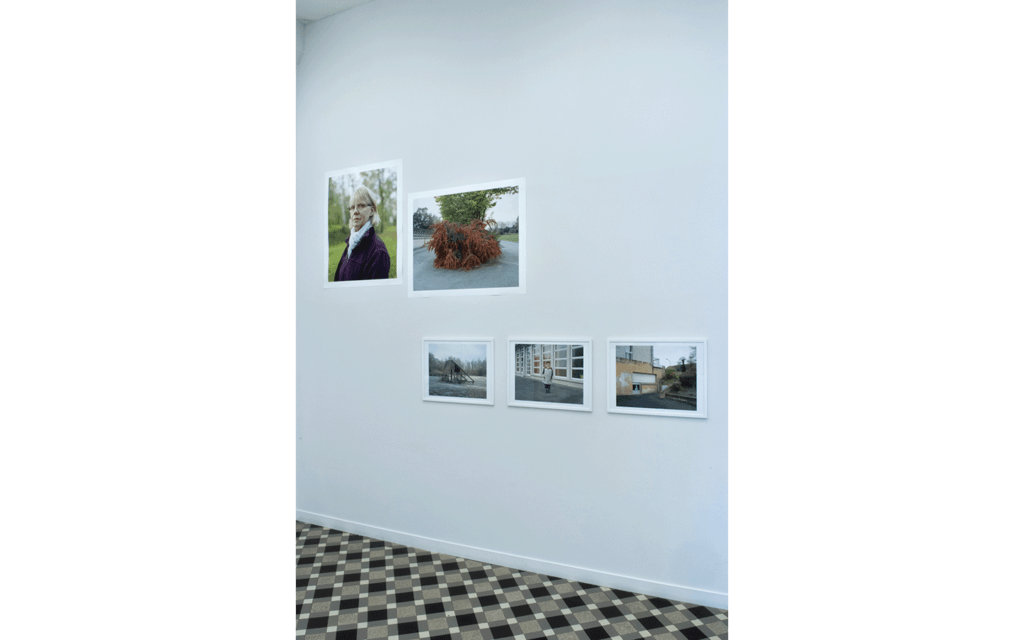 Vue partielle de l'exposition « Terre humide »