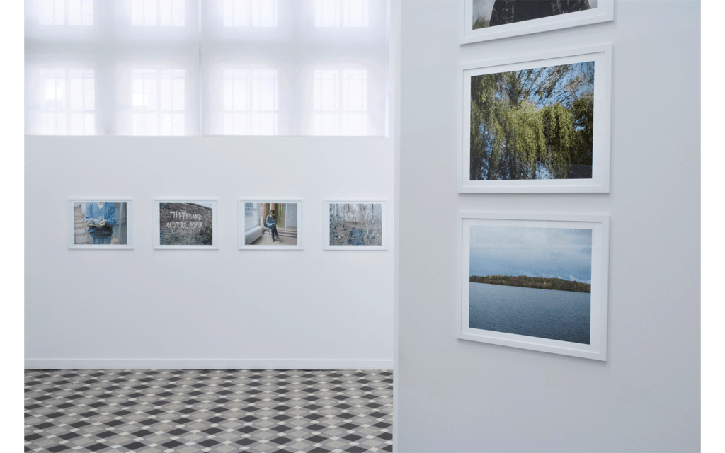 Vue partielle de l'exposition « Terre humide »