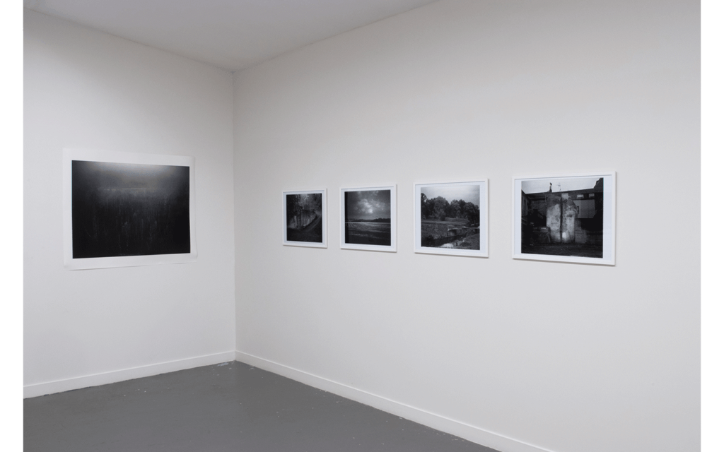 Vue partielle de l'exposition « Terre humide »