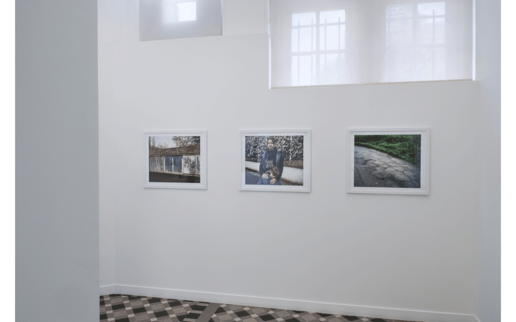 Vue partielle de l'exposition « Terre humide »