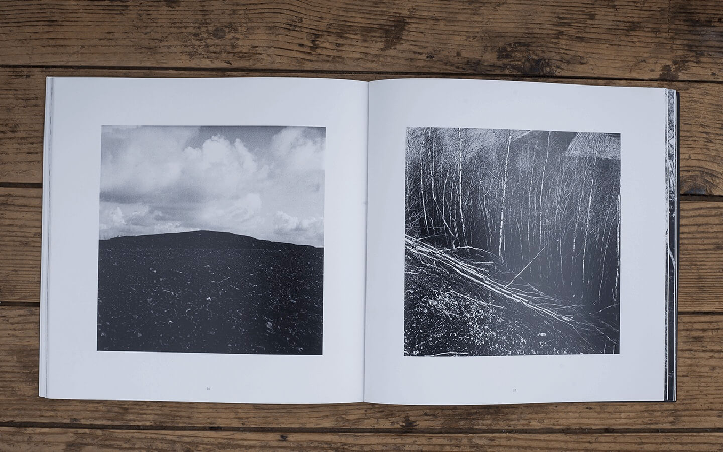 Paysages miniers /
