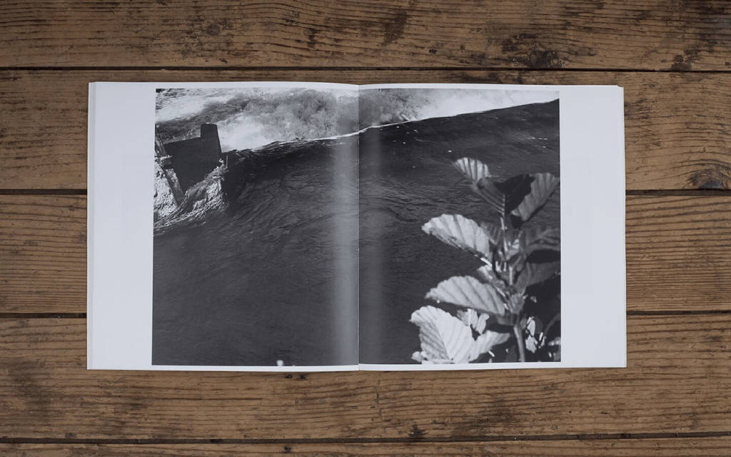 Que salubre est le vent [Healthy Is the Wind] /