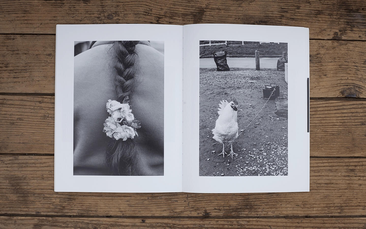 Transmanche 26 / Migrances