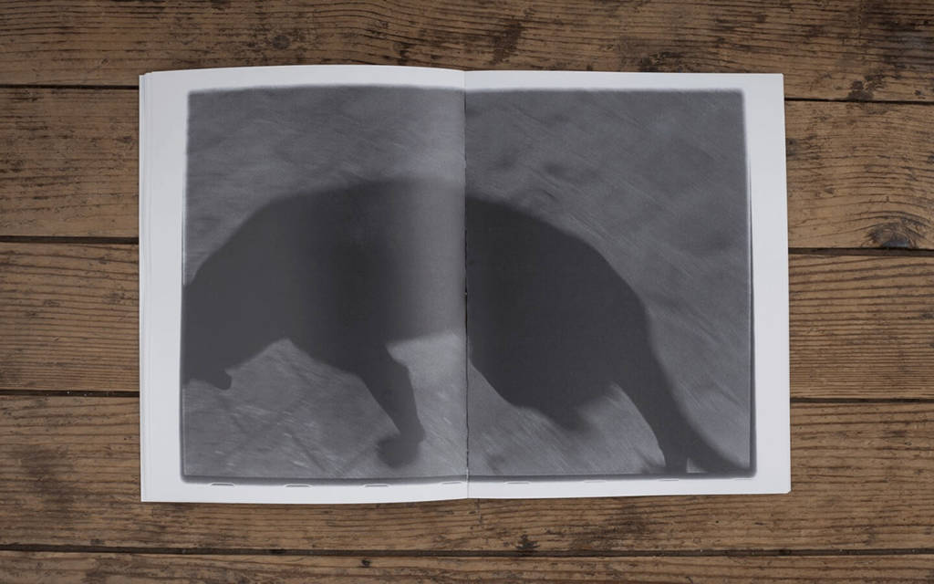 Transmanche 20 / Das Land : Lille