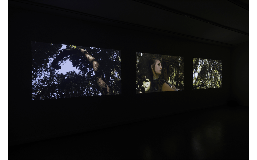 Vue partielle de l'exposition 