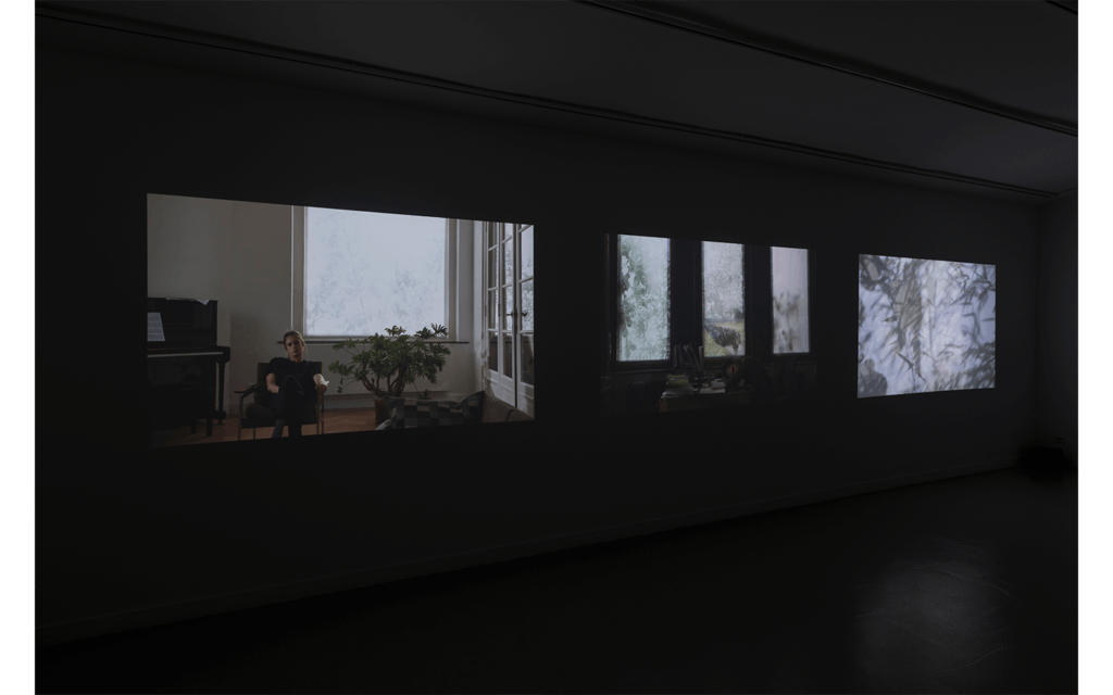 Vue partielle de l'exposition 