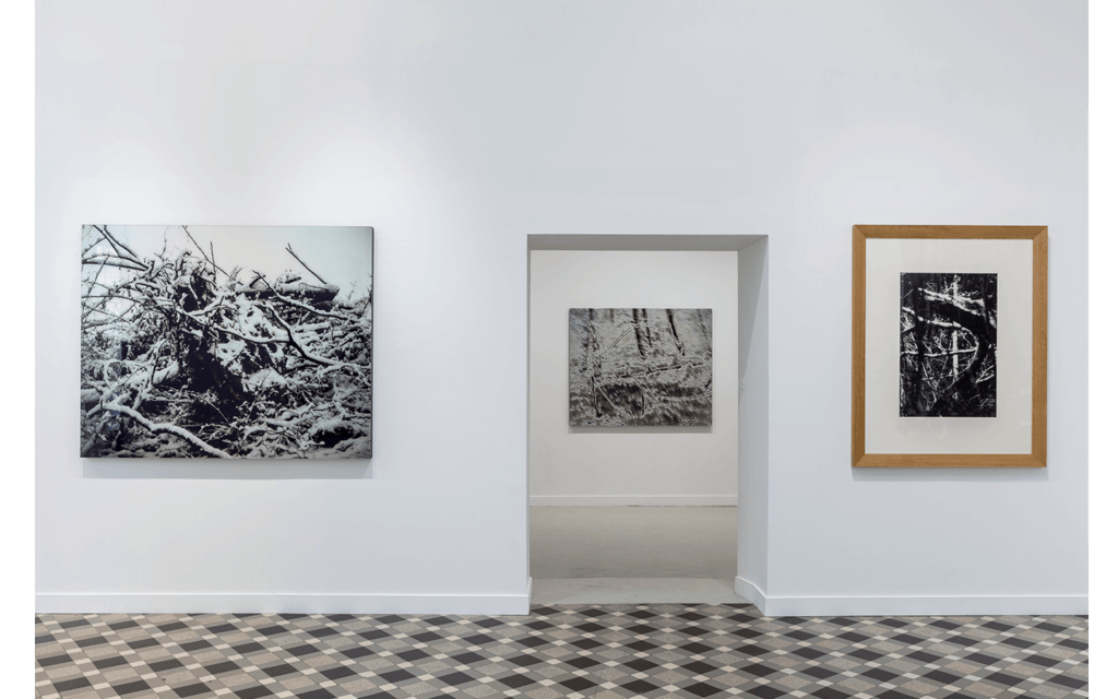 Vue partielle de l'exposition 