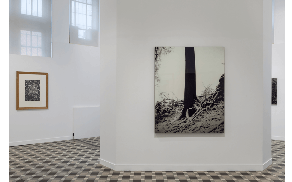 Vue partielle de l'exposition 