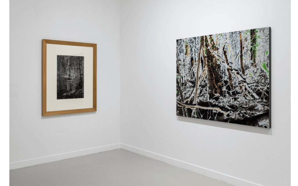 Vue partielle de l'exposition 