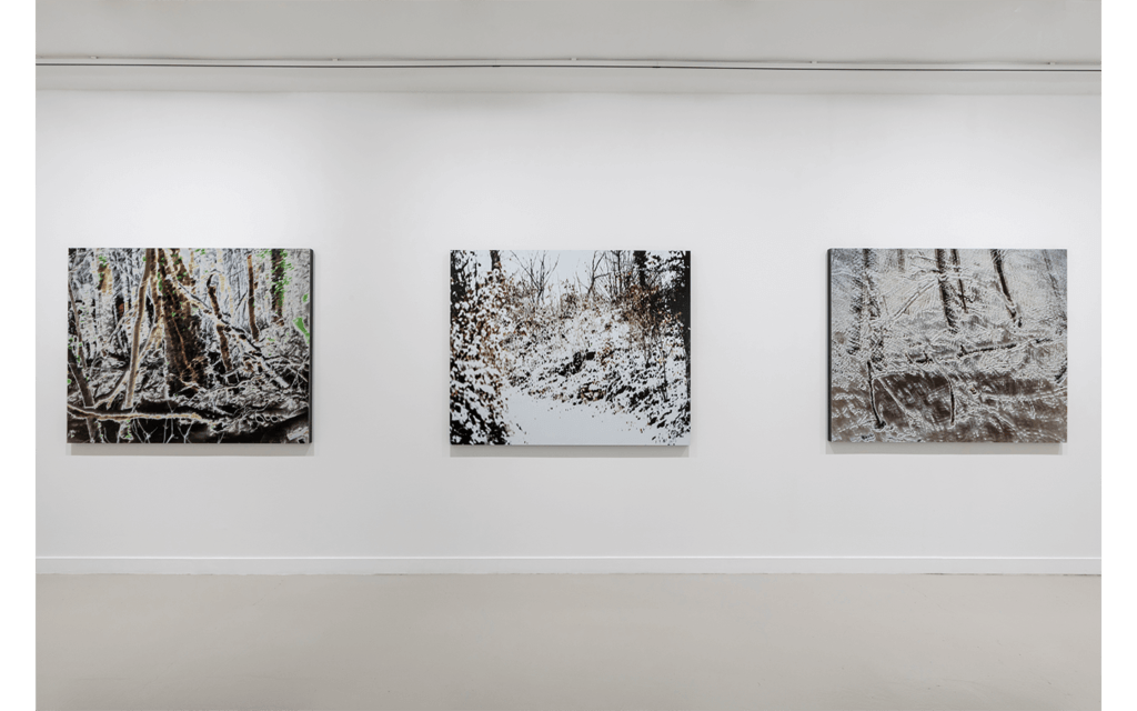 Vue partielle de l'exposition 