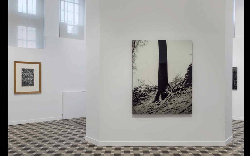 Vue partielle de l'exposition 