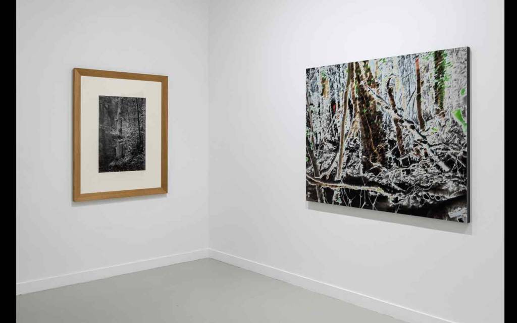 Vue partielle de l'exposition 