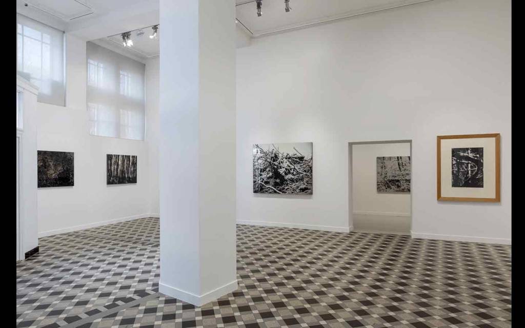 Vue partielle de l'exposition 