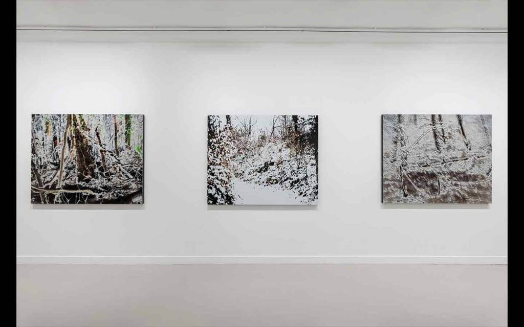 Vue partielle de l'exposition 