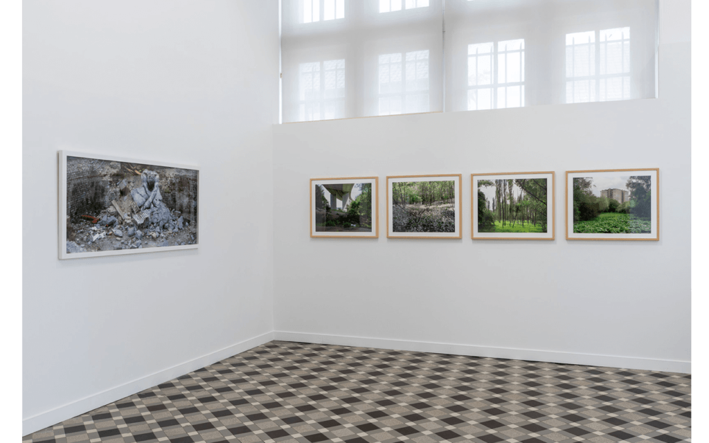 View of the exhibition 