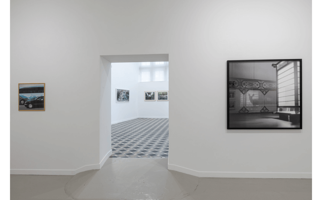 View of the exhibition 