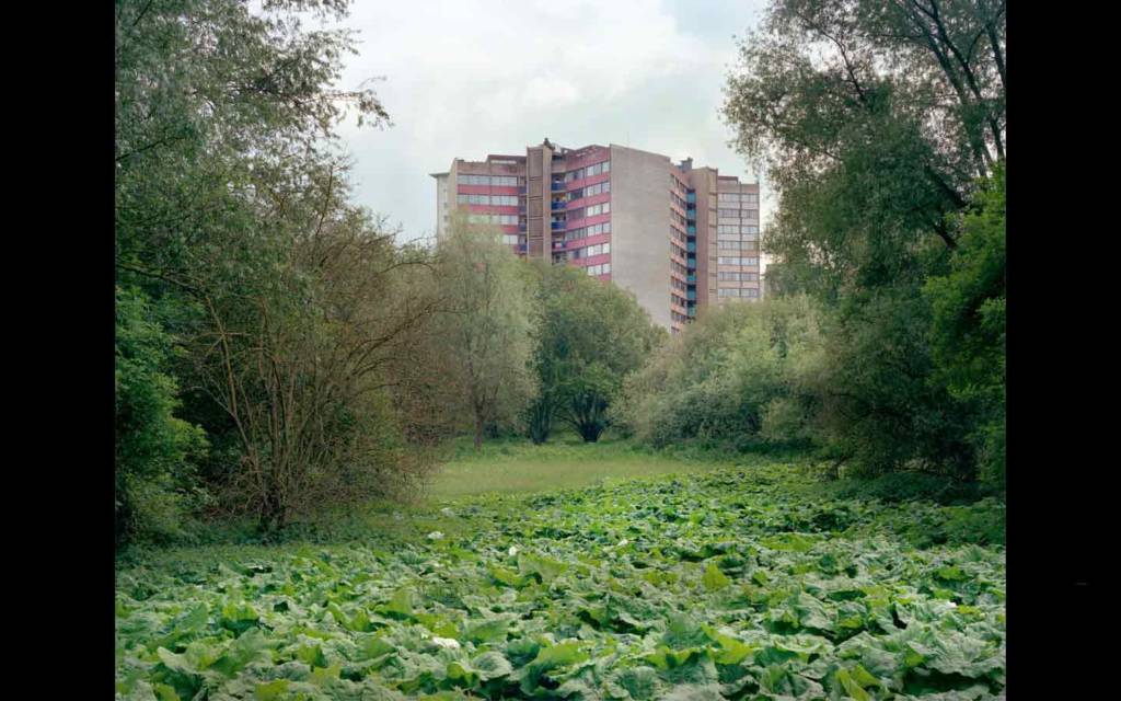 Bruxelles Limites, 2009-2010, 65 x 79 cm