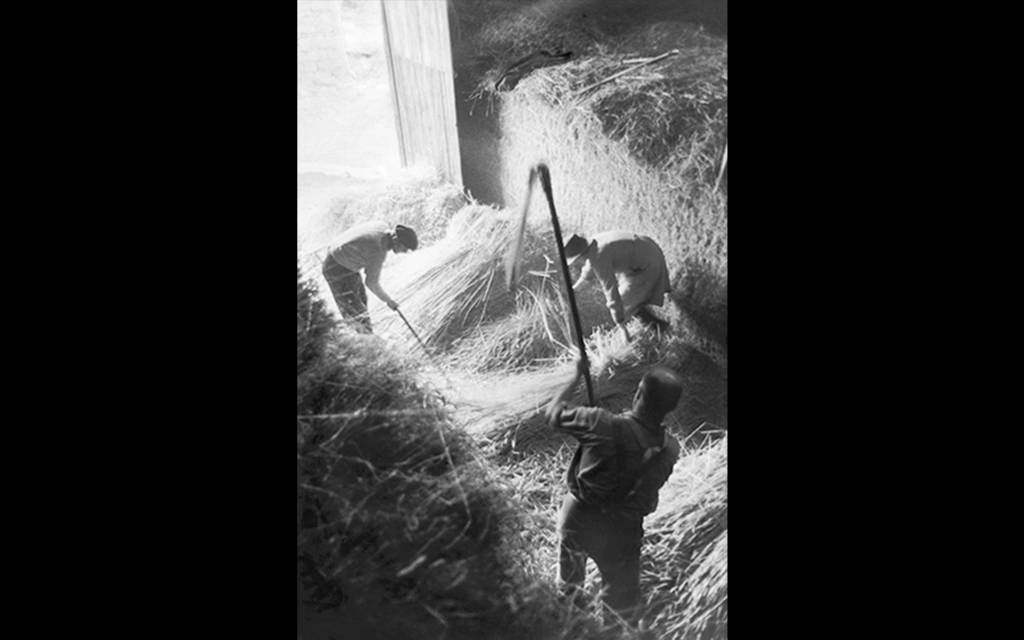 « Corèze », Battage au Fléau, 1965-1967 © Jean Marquis