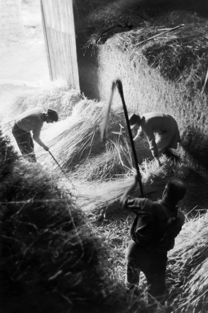« Corèze », Battage au Fléau, 1965-1967 © Jean Marquis