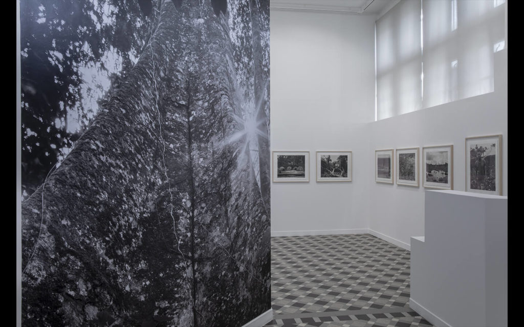 Vue partielle de l'exposition