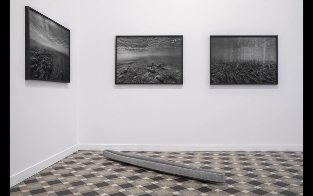 Vue partielle de l'exposition