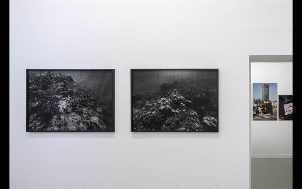 Vue partielle de l'exposition