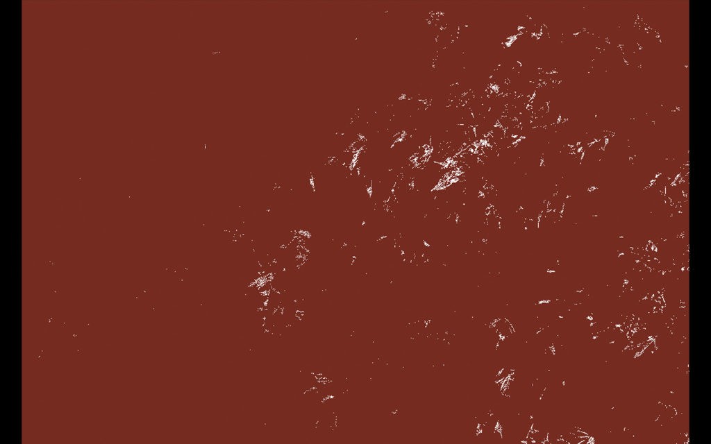 Color Fields, 2018, animation, son, boucle