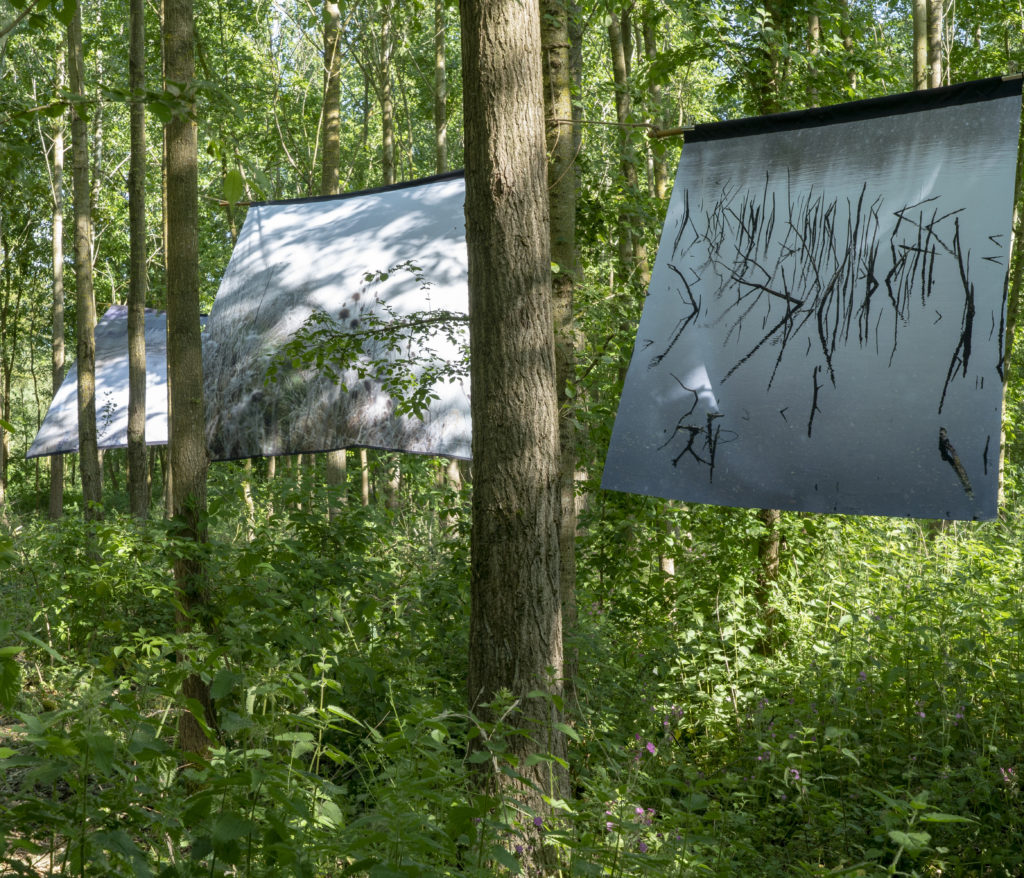 Installation