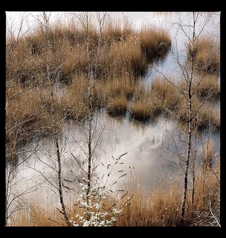 Comme de l’eau de roche . #05 . Parc naturel régional Scarpe-Escaut, 2022