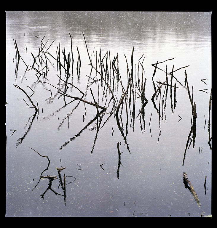 Comme de l’eau de roche . #06 . Parc naturel régional Scarpe-Escaut, 2022