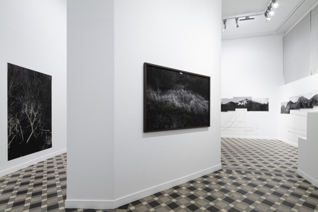 Vue exposition Ce qui demeure