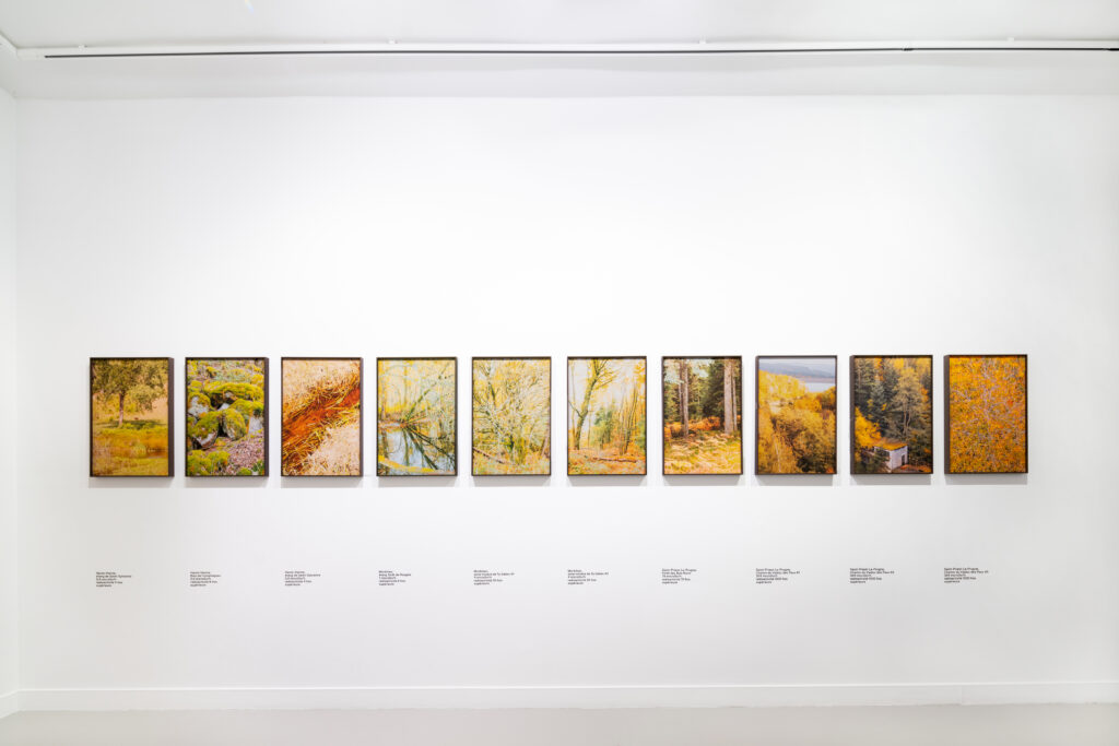 Vue exposition «Alors on danse» - Letizia le Fur