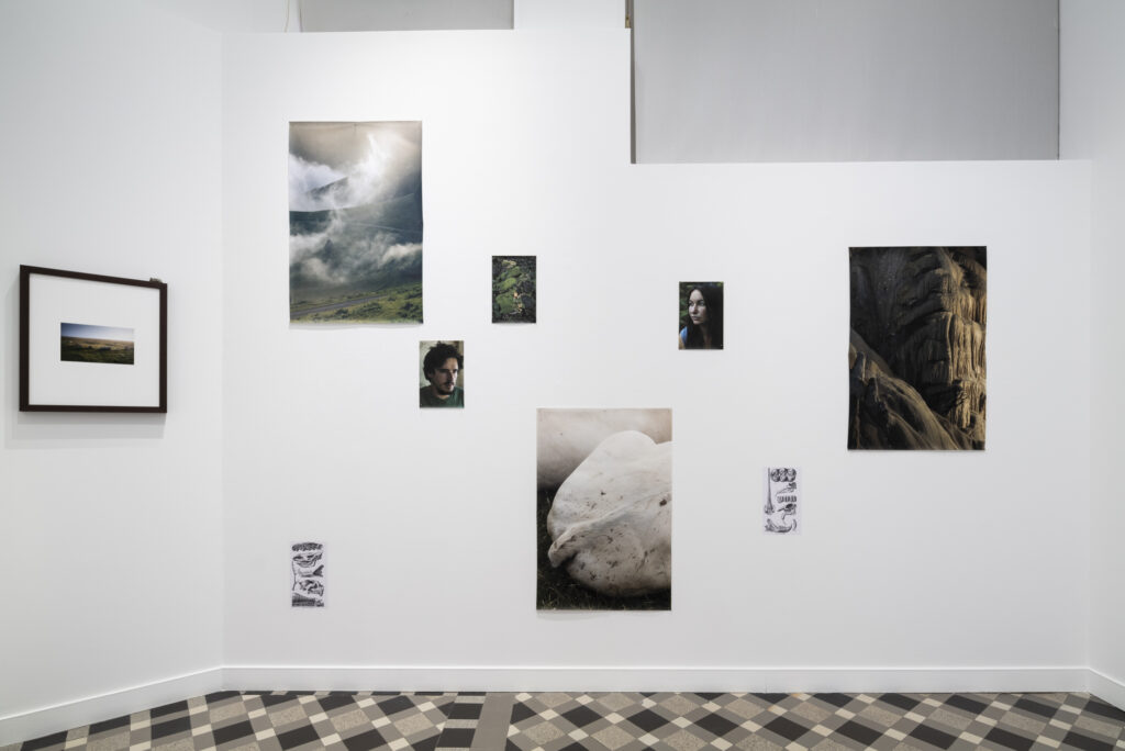 Vue exposition «Alors on danse» - Hélène David