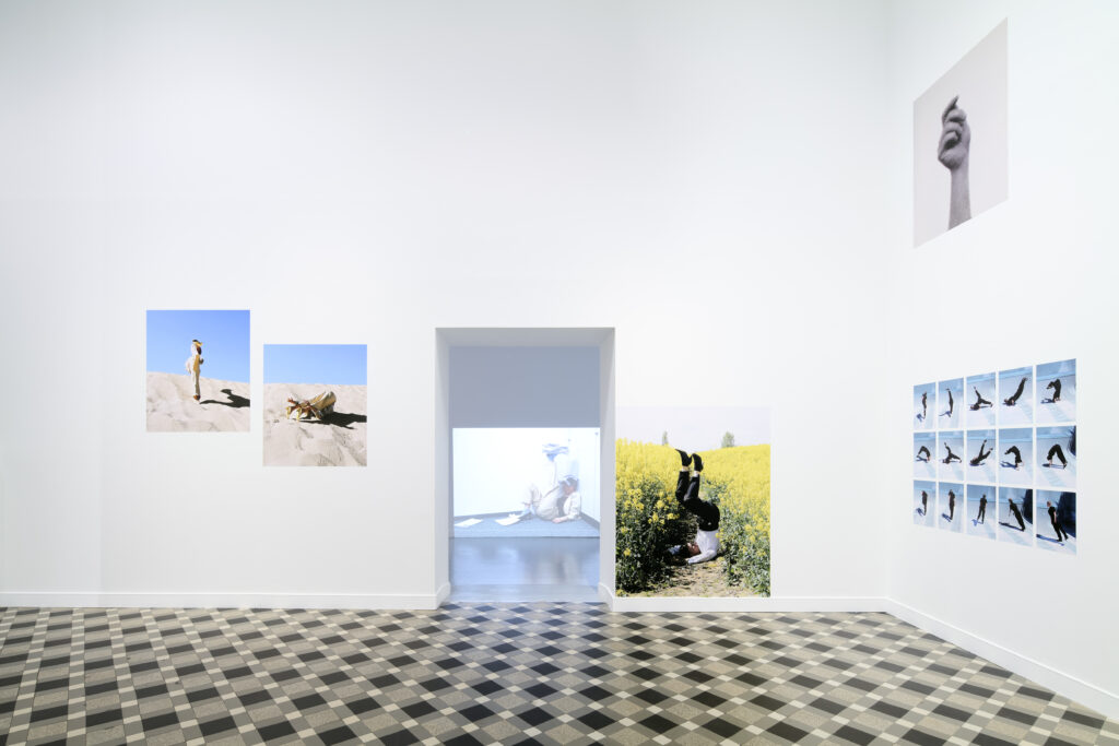 Vue exposition «Isabelle Wenzel / Corps Épreuve»