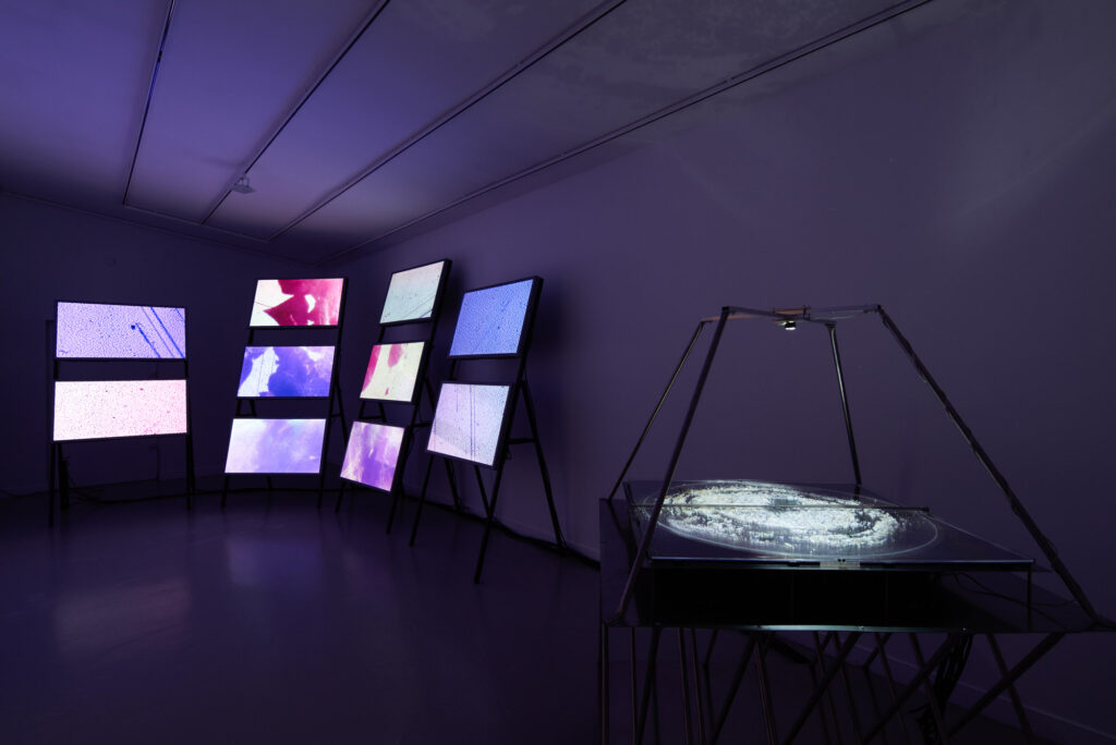 Vue exposition «Lucien Bitaux / Soleils mineurs»