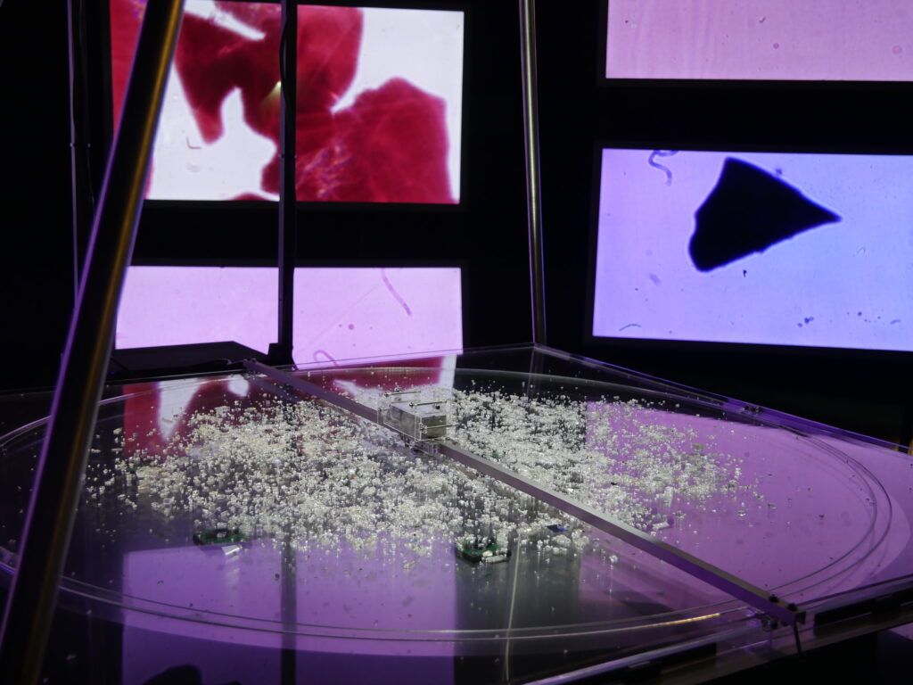 Nadir — Picture Elements Explorer, 2022