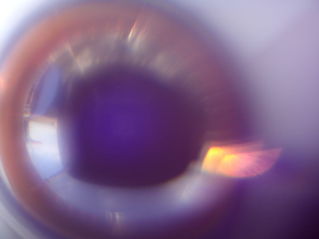 Les liminaux, la métamorphose de l’être en sa vision, 2020